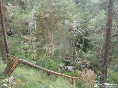 Tejos Rascafría-Valhondillo o Barondillo;chorro navafria el parrizal de beceite parque natural els 